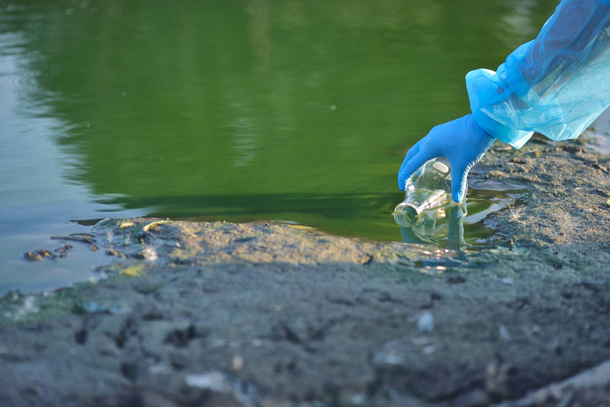 scientist grabbing water for testing