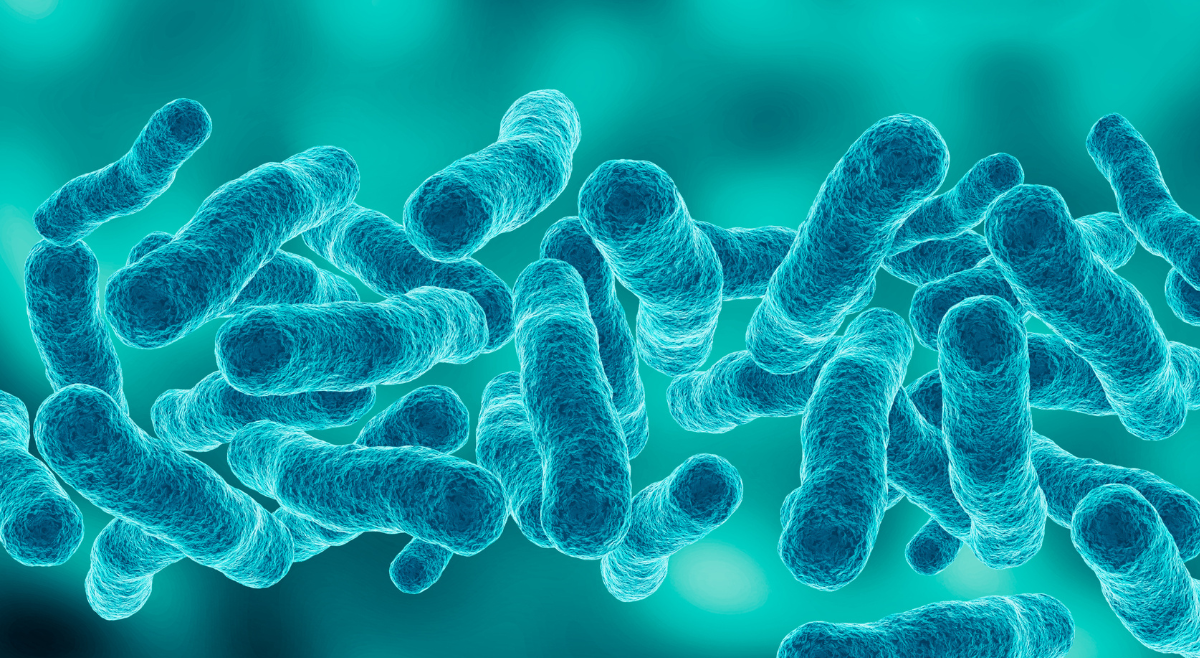 Microscopic view of legionella